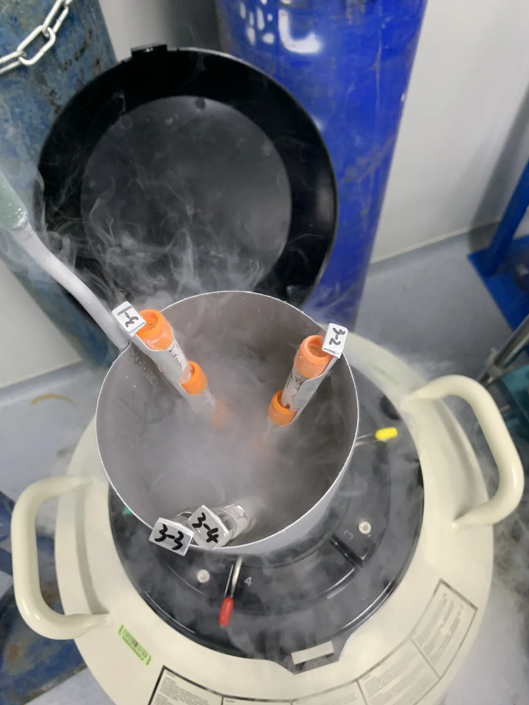 金鳳液氮罐 金鳳液氮罐